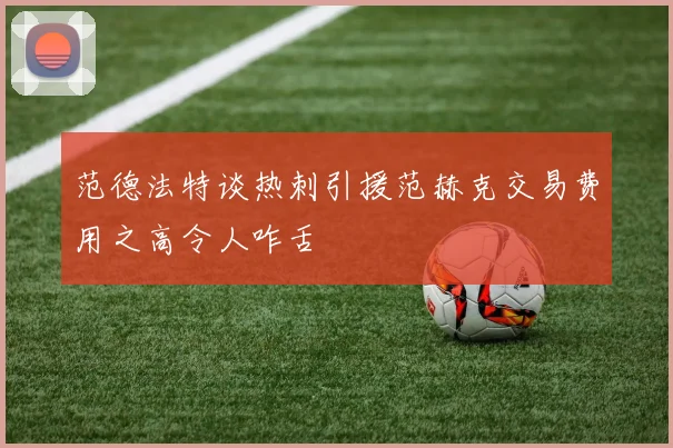 范德法特谈热刺引援范赫克交易费用之高令人咋舌