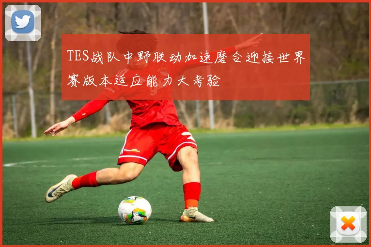 TES战队中野联动加速磨合迎接世界赛版本适应能力大考验